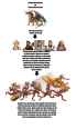 dragon hierarchies
