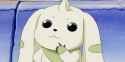 Terriermon