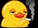 smoke-duck