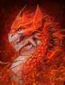DESIGN-FLAMEDRGN