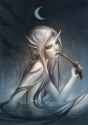 wild_creatures_2_by_sandara_d2leqkt