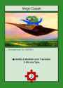 482 Magic Carpet