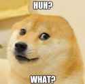 disabled doge