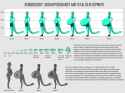 Xenobiology, Seiran Pregnancy and Fetal Development