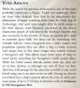 Screenshot 2025-07-13 at 14-02-13 Rogue Trader (Supplement) - Into the Storm.pdf