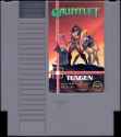 5073107-gauntlet-nes-media