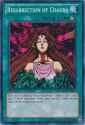 51GcjTeSFFL._UF894,1000_QL80_