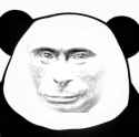 putin panda