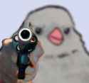 bird gun