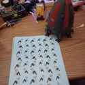 20250718_044241-RS