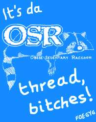 cover-maker-raccoon-blue