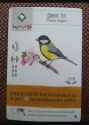 wingspan great tit