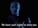 such-sights-to-show