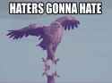 haters gonna hate
