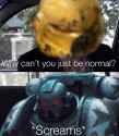 1620043896306