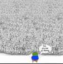 183 KB