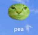 3 KB