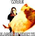 99 KB
