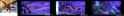 1022 KB