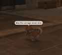 230 KB