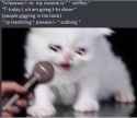 51 KB