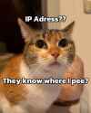 161 KB