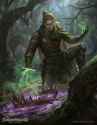 young blonde elf man with leather armor _ green magic _ forest -- 1580175003276.jpg
