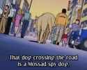 Mossad spy dog.jpg