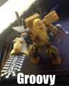 Groovy.jpg