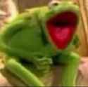 kermit frog laugh.jpg