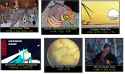 1.2 MB