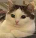 39 KB