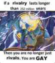 213 KB