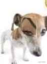 4 KB