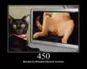 33 KB