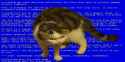 47 KB