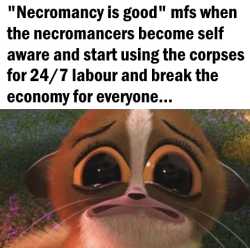79 KB