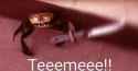15 KB