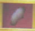 38 KB