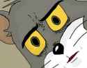 299 KB