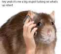475 KB