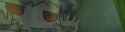 1.51 MB