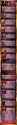 4.56 MB