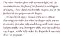149 KB