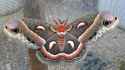 228 KB