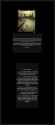 Rule 34 Rule 34 Image