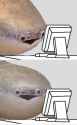 48 KB