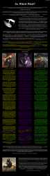 4.63 MB