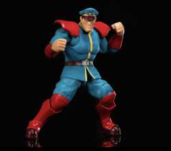 BBTS M. Bison