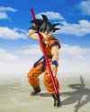 The best goku